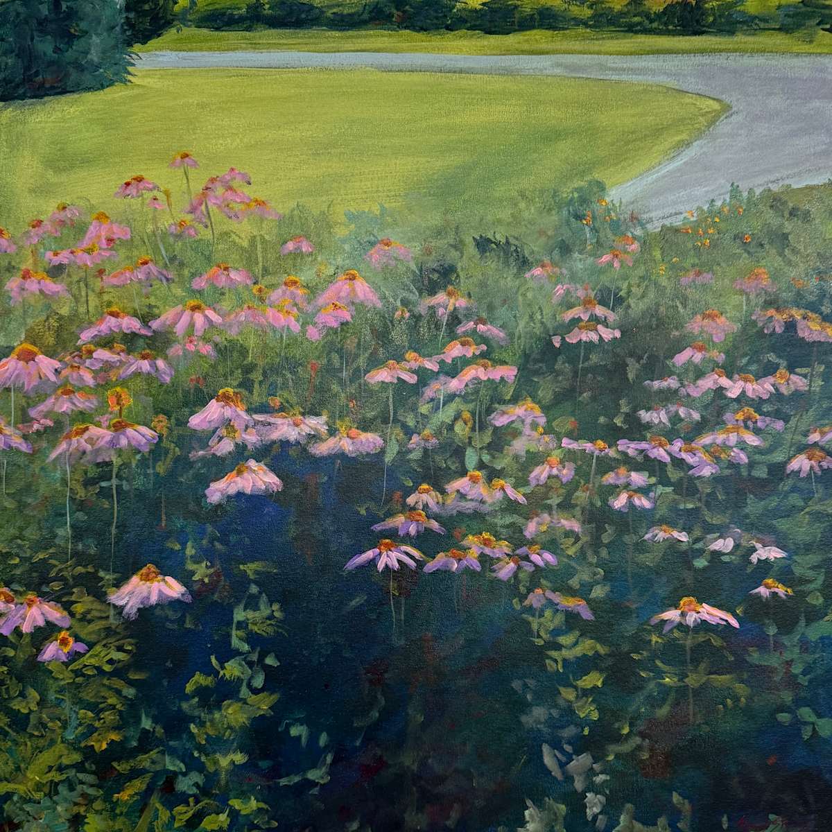 Gold Park Coneflowers by Thomas Stevens 