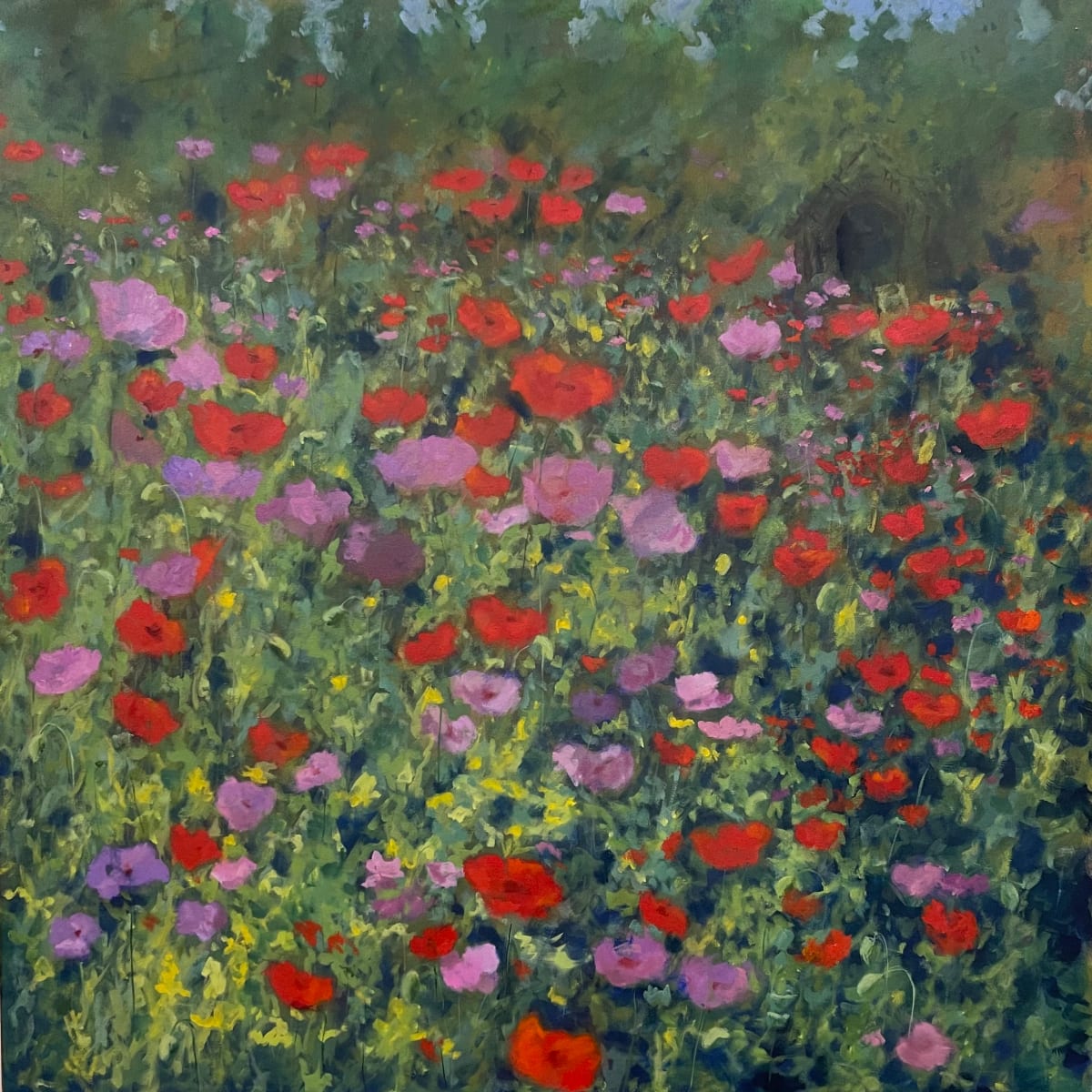 Montrose Poppies by Thomas Stevens 