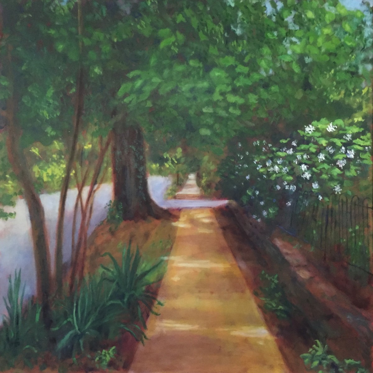 King St Oak Hydrangeas  36.075408N 79.102211W by Thomas Stevens 