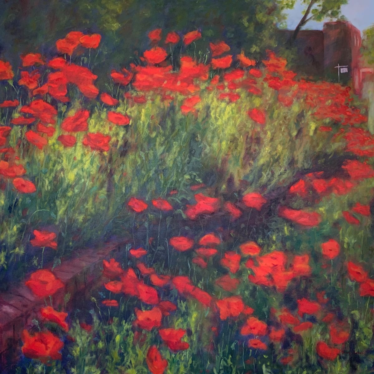 King Street Poppies  36.07546N  79.10113W by Thomas Stevens, Image 1.
