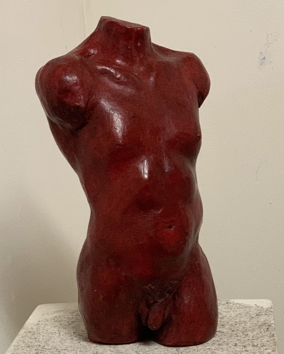 Male Torso 6/15 by Thomas Stevens 