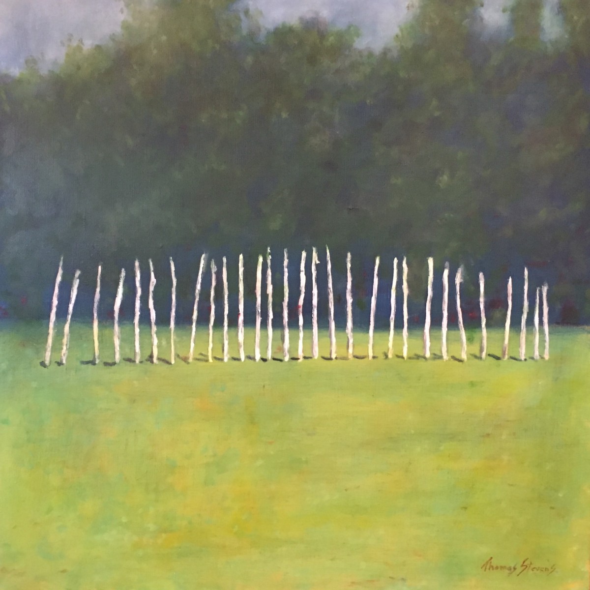 Occaneechi Remains  36.072242N  79.097572W by Thomas Stevens 