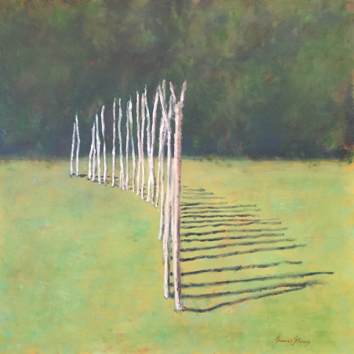 Occaneechi Shadows   36.072333N  79.097725W by Thomas Stevens 