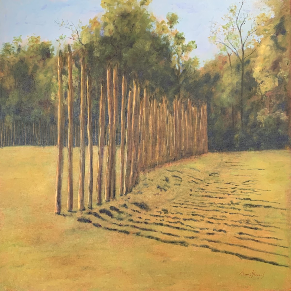 Occaneechi Rebuilding   (Occaneechi series - 36.072489N  79.097794W) by Thomas Stevens 