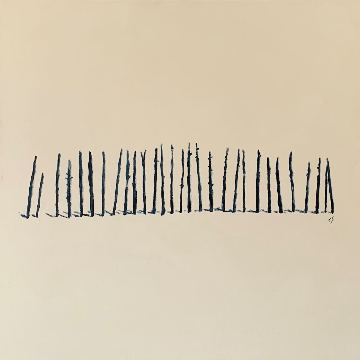 Occaneechi Remains (monochrome)  36.072242N  79.097572W by Thomas Stevens 