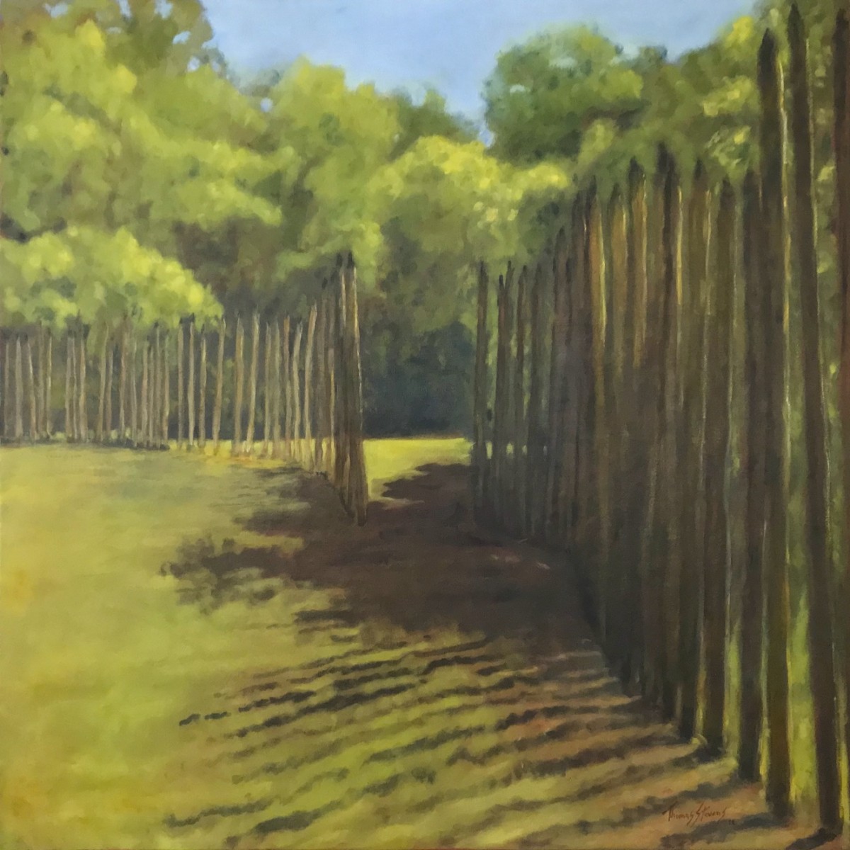 Shadow Gate   (Occaneechi series - 36.07242N 79.097786W) by Thomas Stevens 