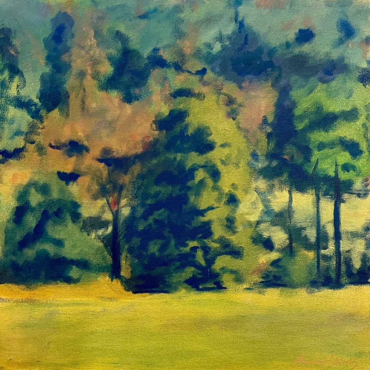 Orange County Treeline   36.014N 79.104W by Thomas Stevens, Image 1.