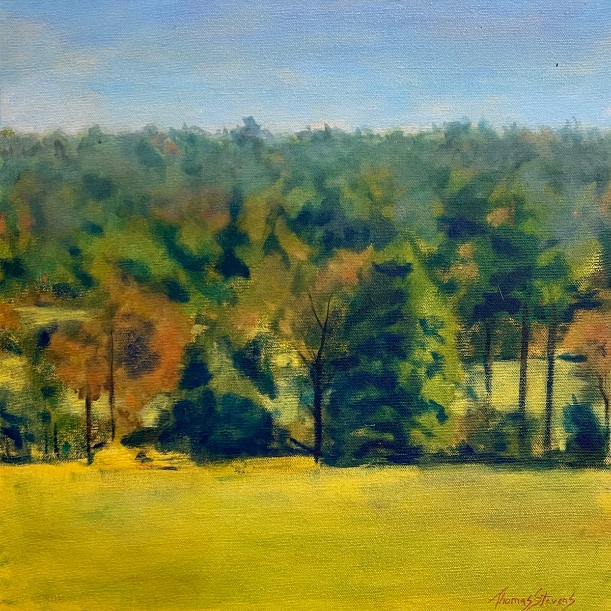 Orange County NC Vista  36.014N 79.104W by Thomas Stevens 