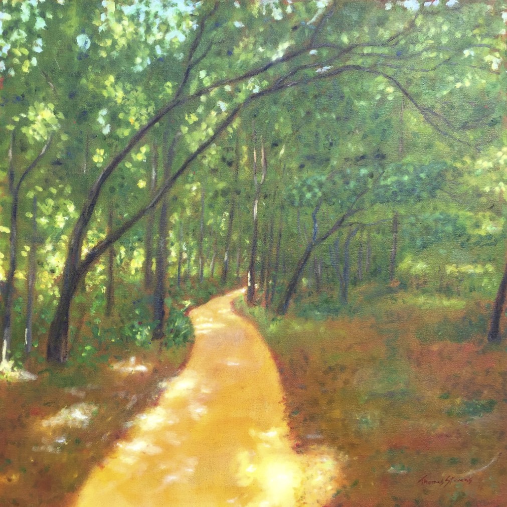 Oxbow Trail Warm    36.070714N 79.089386W by Thomas Stevens 