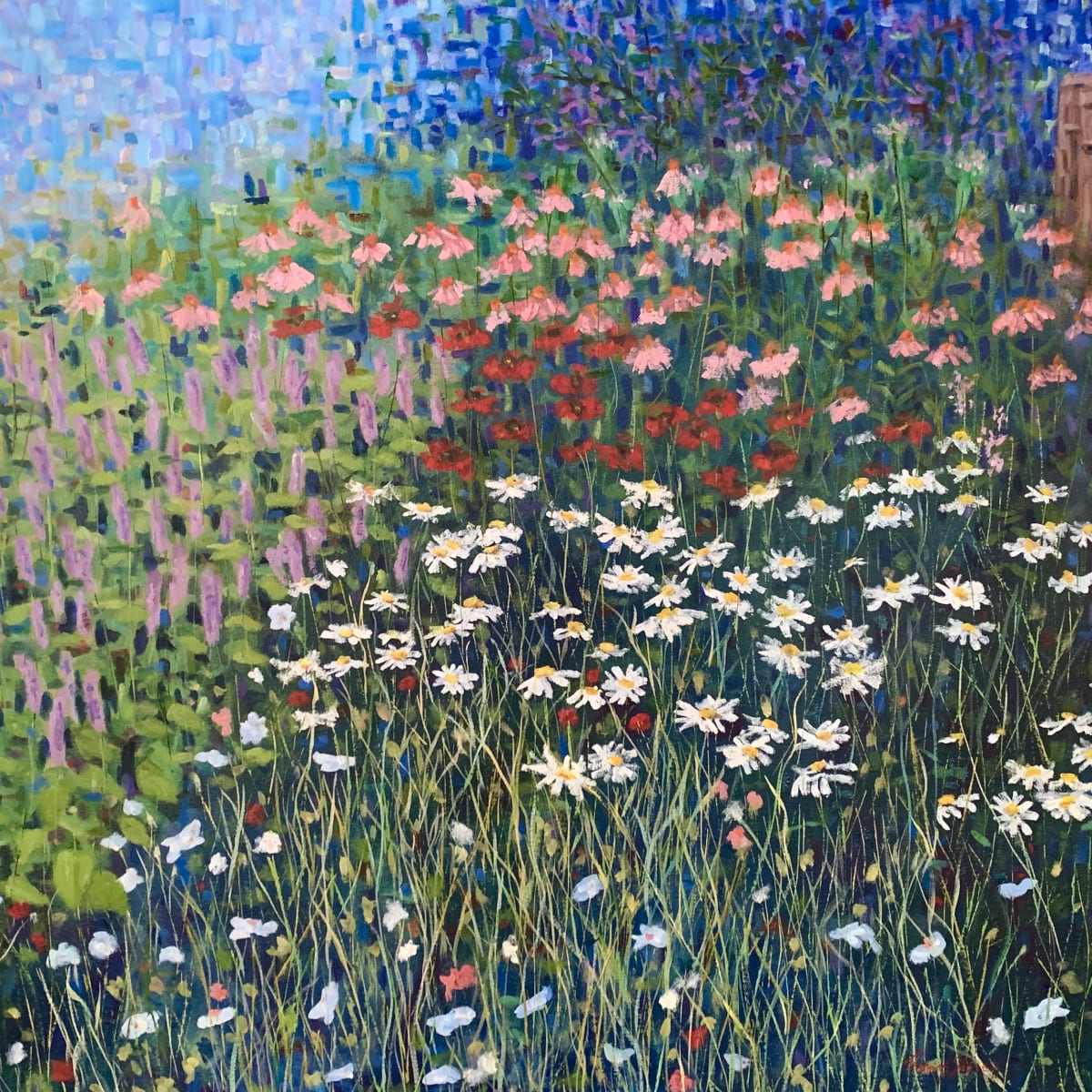 Parking Lot Pollinator Patch 36.07546N 79.09972W by Thomas Stevens 