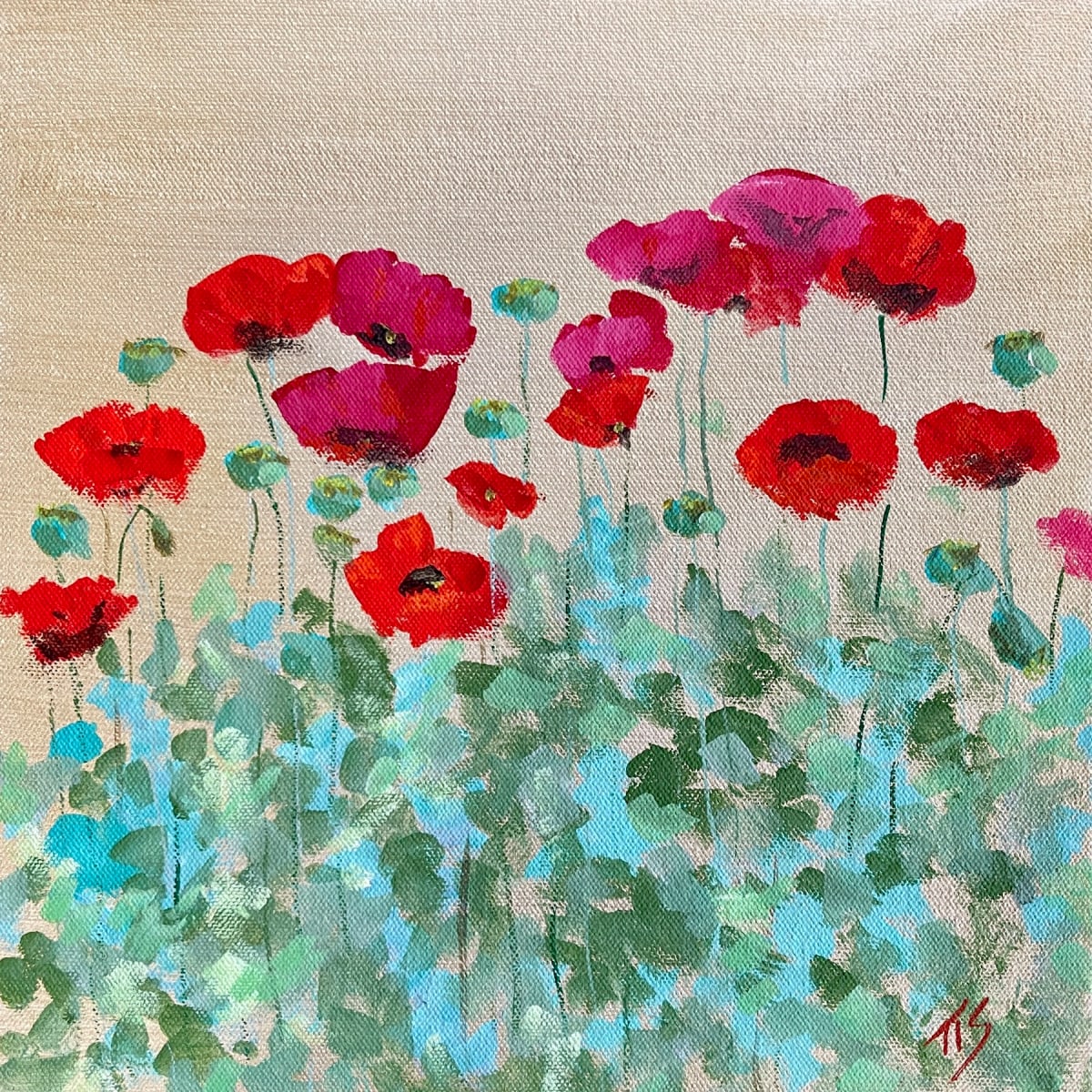 Poppies Sketch by Thomas Stevens 