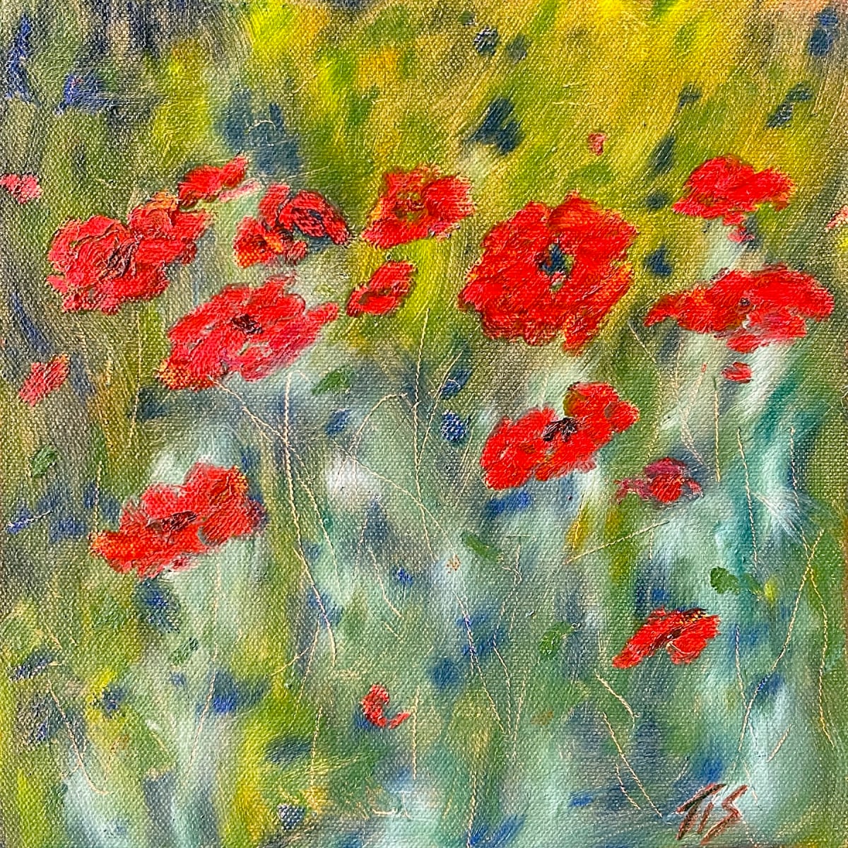 Red Poppies (sketch) by Thomas Stevens 