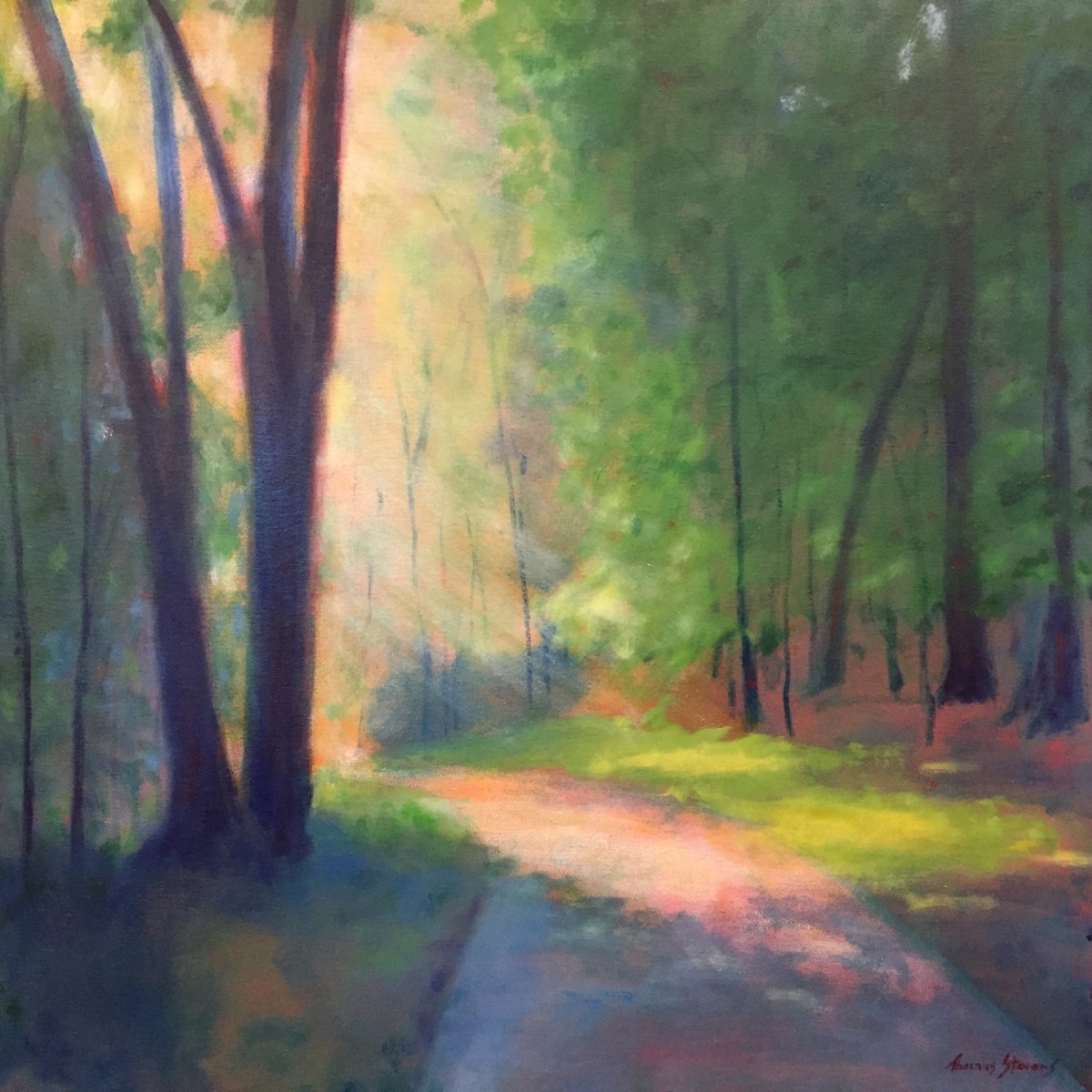 Riverwalk Mist   36.073275N 79.106111W by Thomas Stevens 