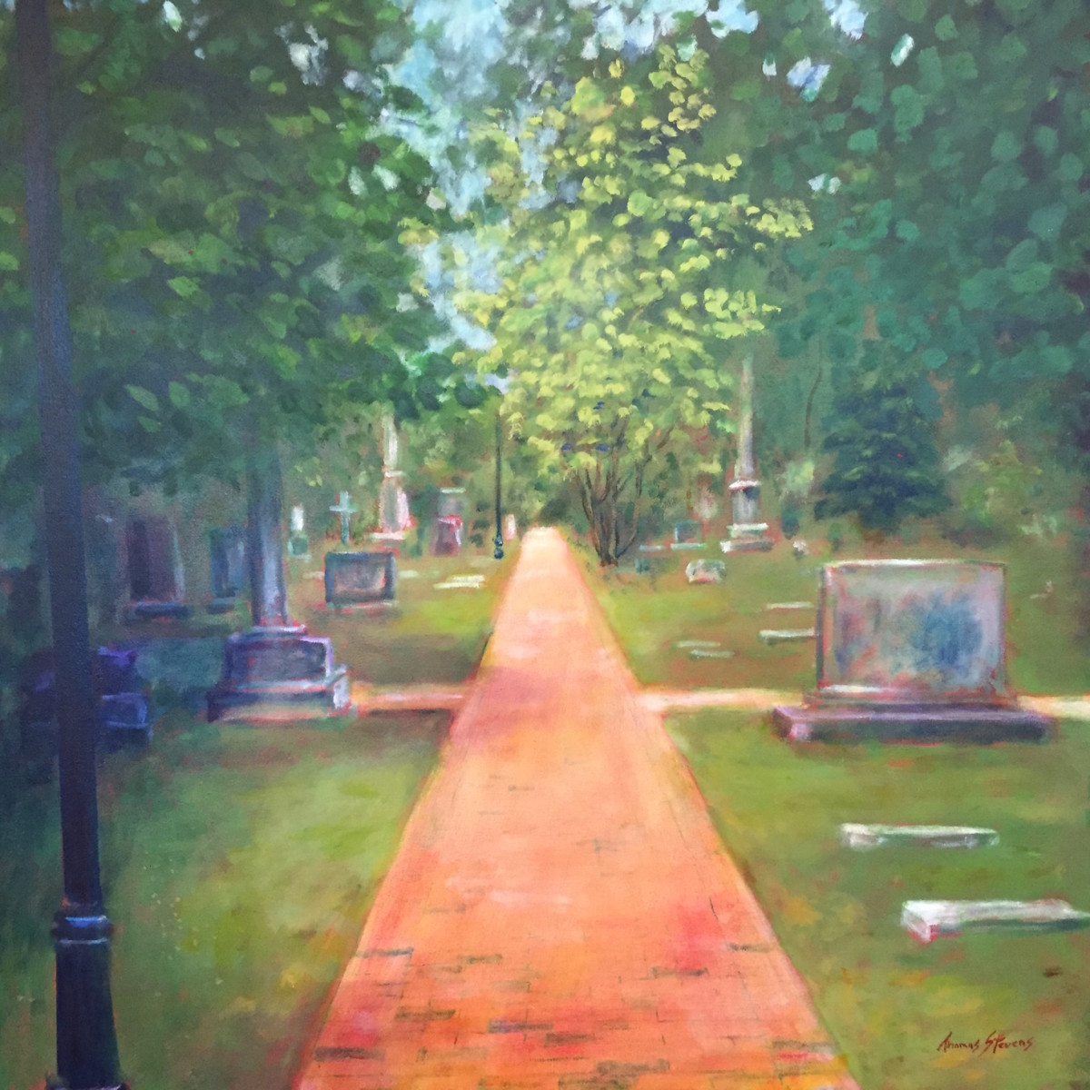 St Matthews Cemetery   36.07657N 79.094589W by Thomas Stevens 