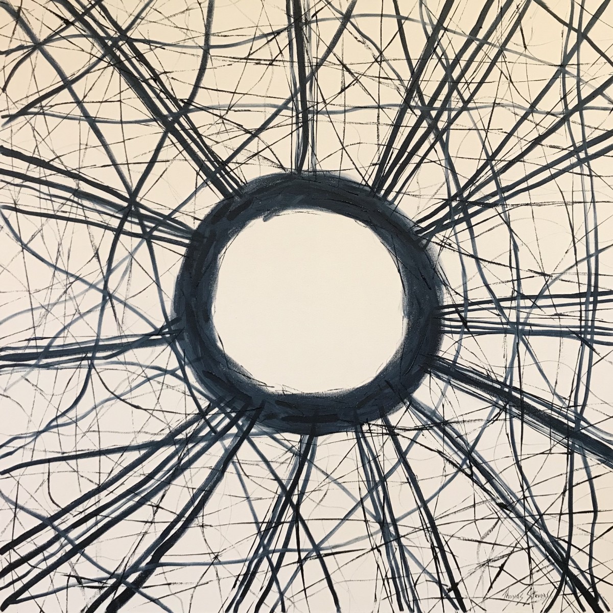 Stickwork Oculus (Indigo)  36.072486N 79.101936W by Thomas Stevens 