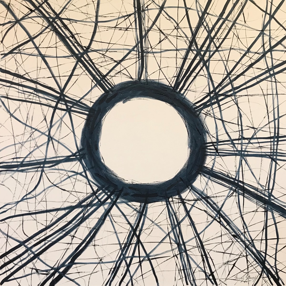 Stickwork Oculus (Indigo)  36.072486N 79.101936W by Thomas Stevens, Image 1.
