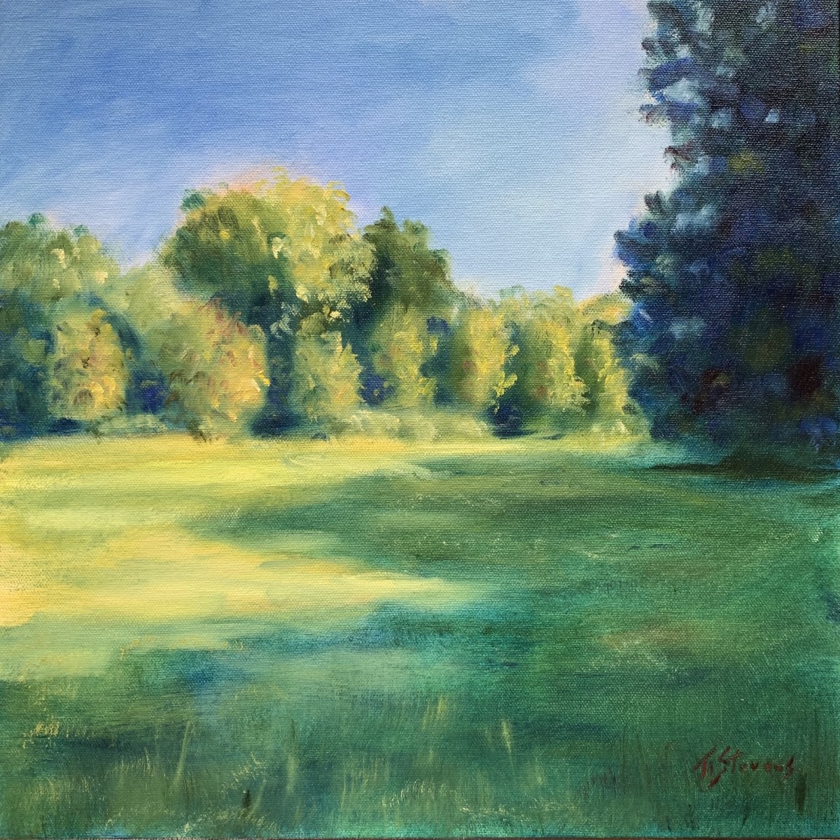 Riverwalk-View of Burnside Drive -  36.0717N 79.0955W by Thomas Stevens 