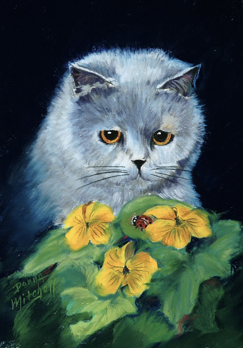Fixation! by Donna Mitchell 