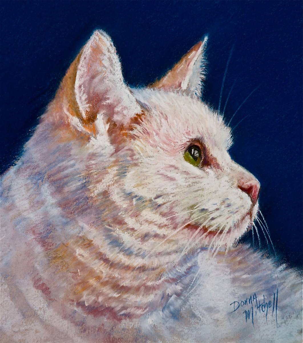 Pretty Girl by Donna Mitchell 