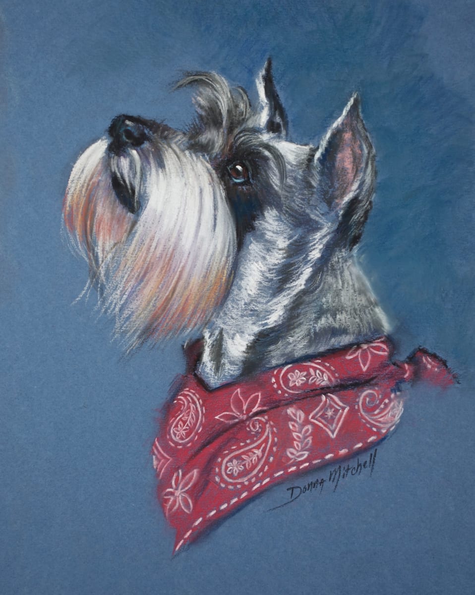 Schnauzer by Donna Mitchell  Image: Commissions Accepted
