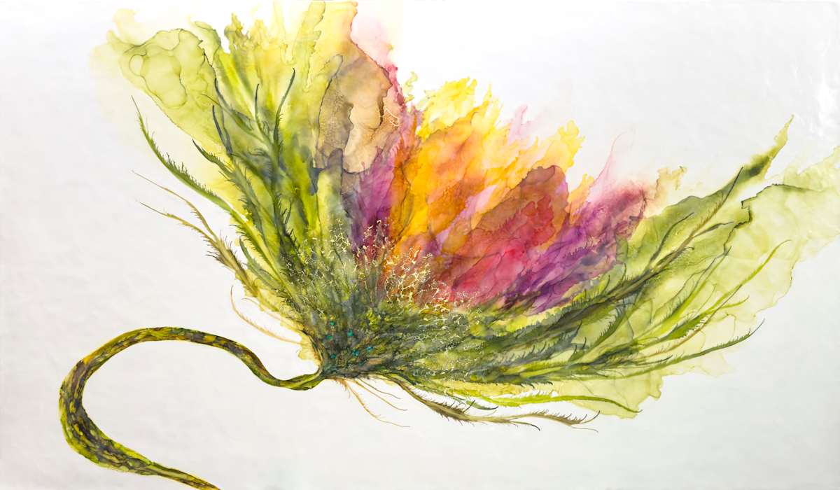 Big Boy Comes Home by Deborah Llewellyn  Image: Original has more depth, brighter in color especially the white.   This website darkens my photos