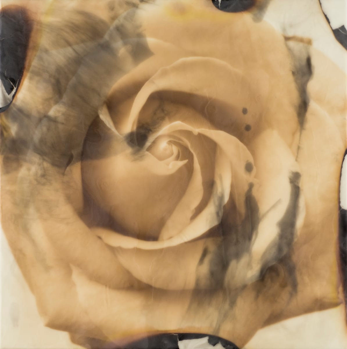 Burnt Trust #5 by Deborah Llewellyn  Image: This painting is has a floater frame in a natural color