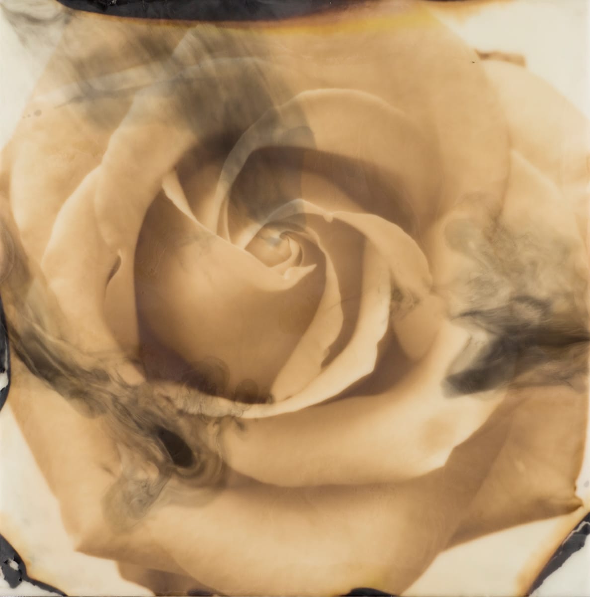 Burnt Trust #6 by Deborah Llewellyn  Image: This painting has a floater frame in a light natural color