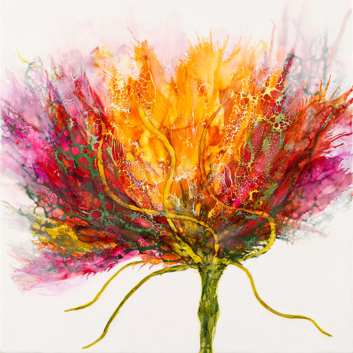 Caught by Surprise by Deborah Llewellyn  Image: Dash of Color