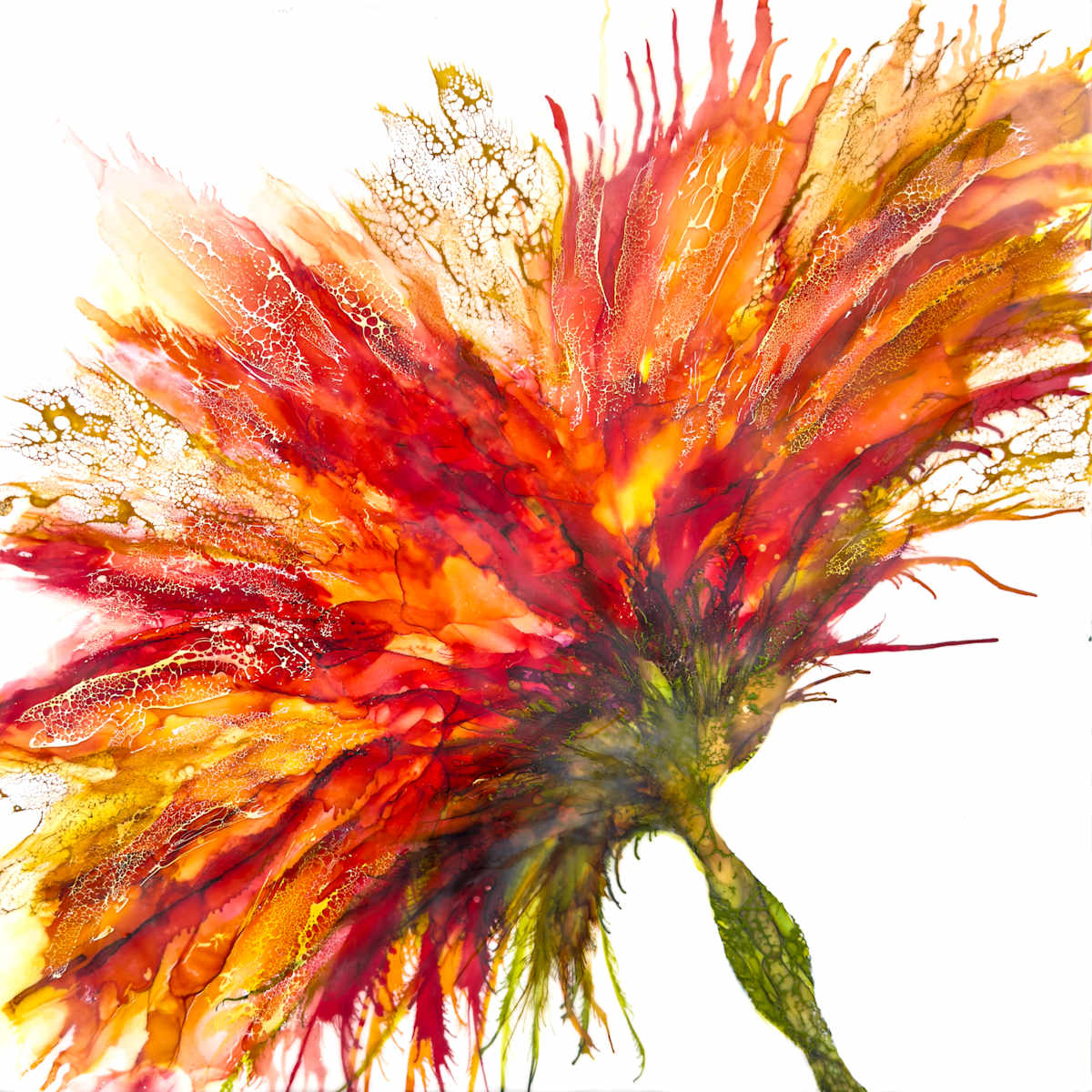 Crescendo In Red by Deborah Llewellyn, Image 1.
