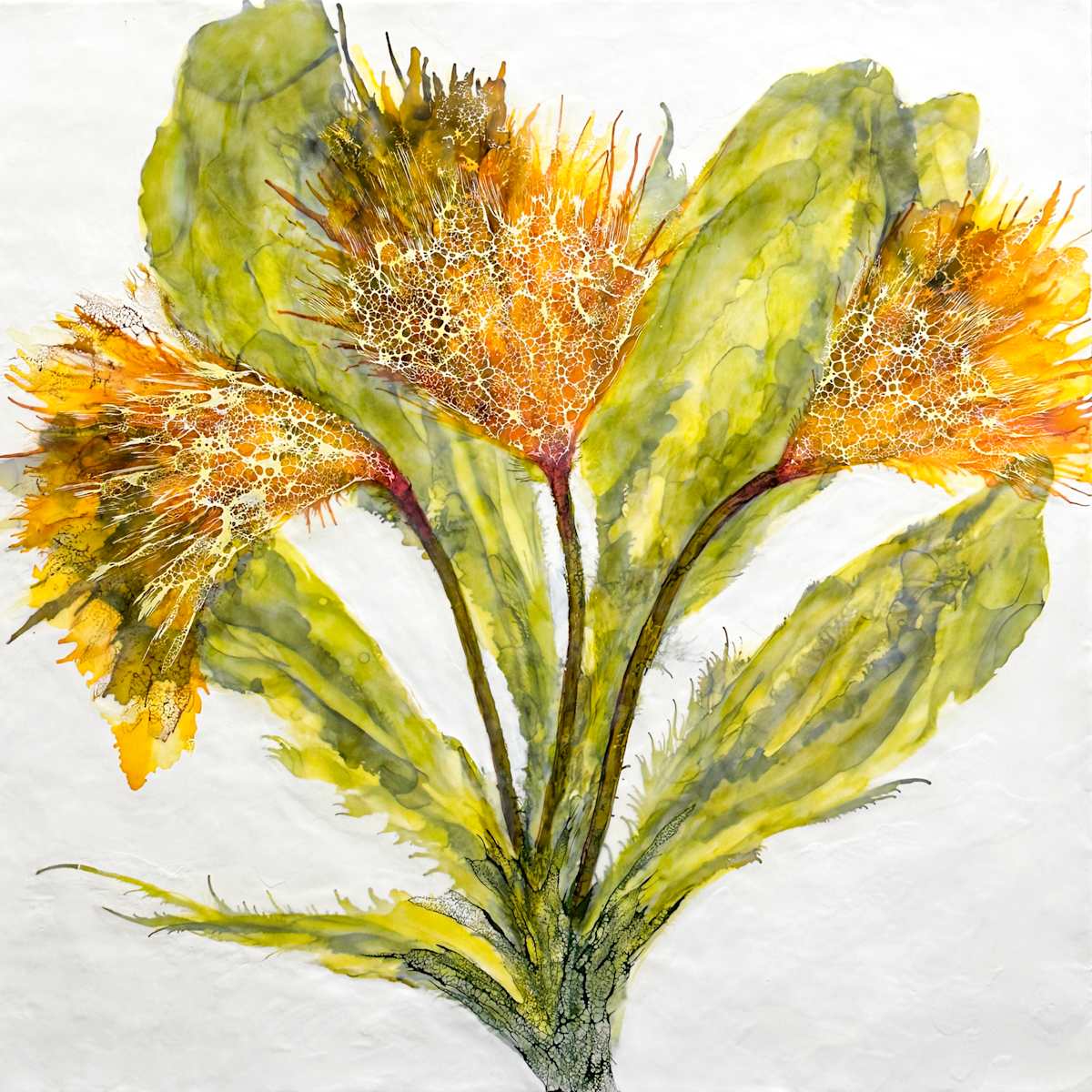 Flower Language by Deborah Llewellyn, Image 1.