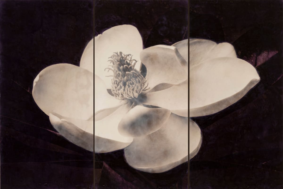 Just In Dreams We Fly by Deborah Llewellyn, Image 1.