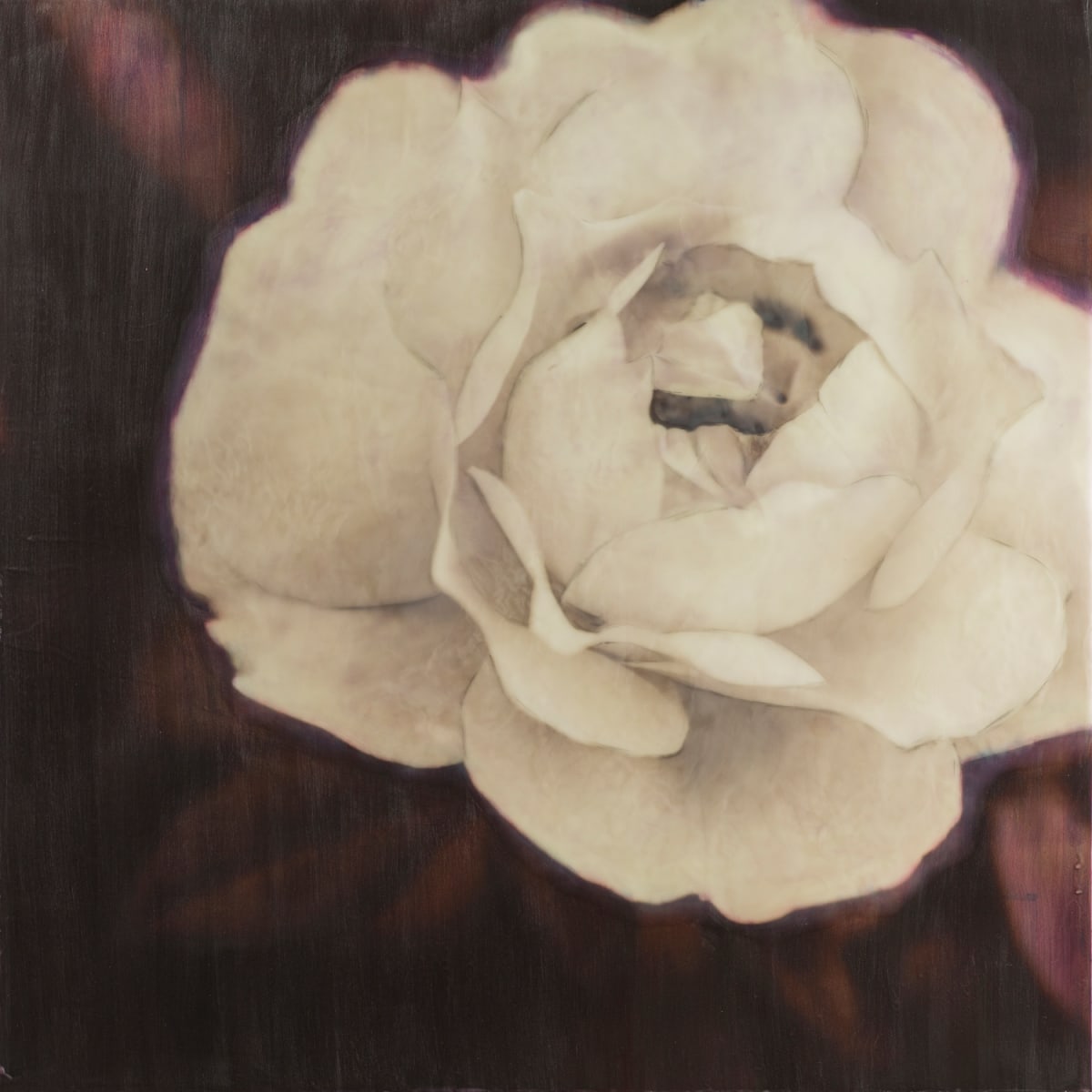 Sweetness by Deborah Llewellyn 