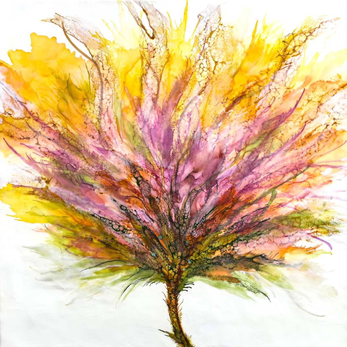 Luminous Blooming by Deborah Llewellyn, Image 1.