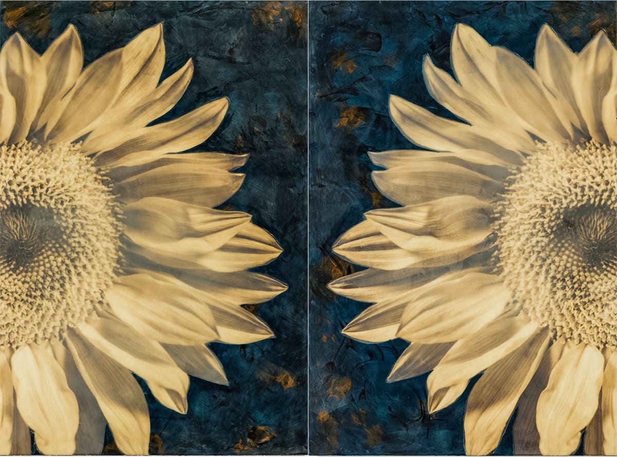 Mirrored  (diptych) by Deborah Llewellyn, Image 3.