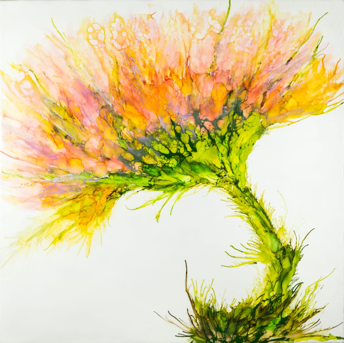 My Happy Dance by Deborah Llewellyn 