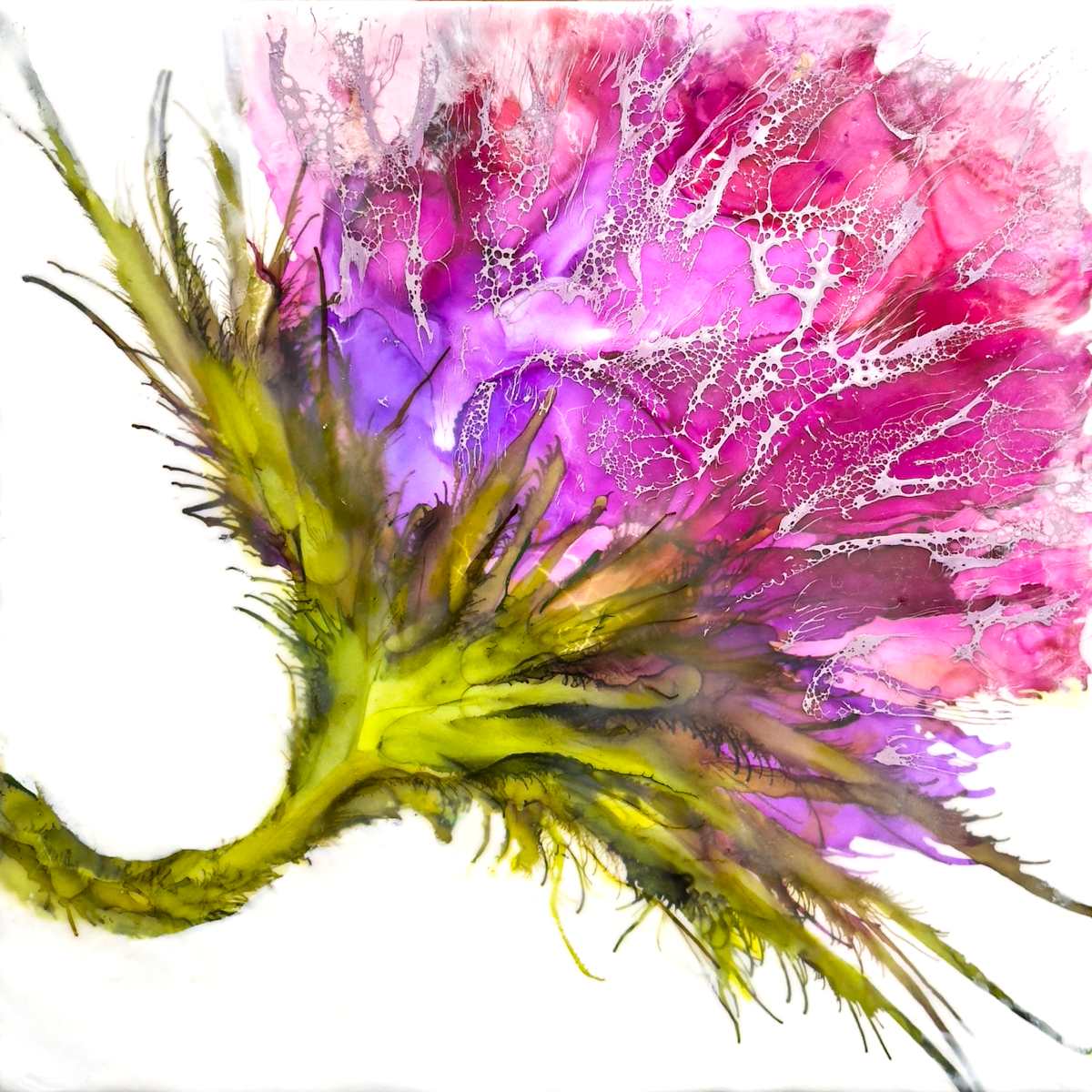 Pop Up Purple by Deborah Llewellyn  Image: Main Image