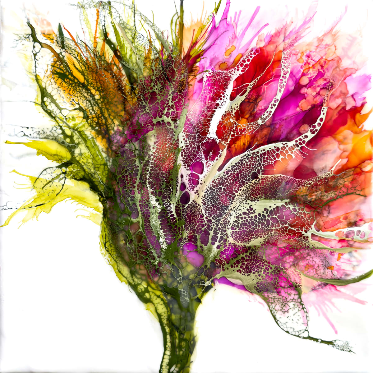 Rainbow Days by Deborah Llewellyn 