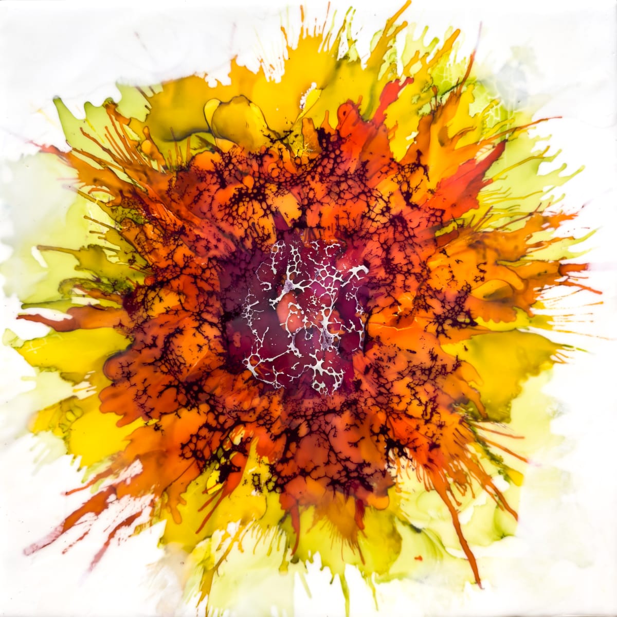 Sunshine Showing by Deborah Llewellyn 