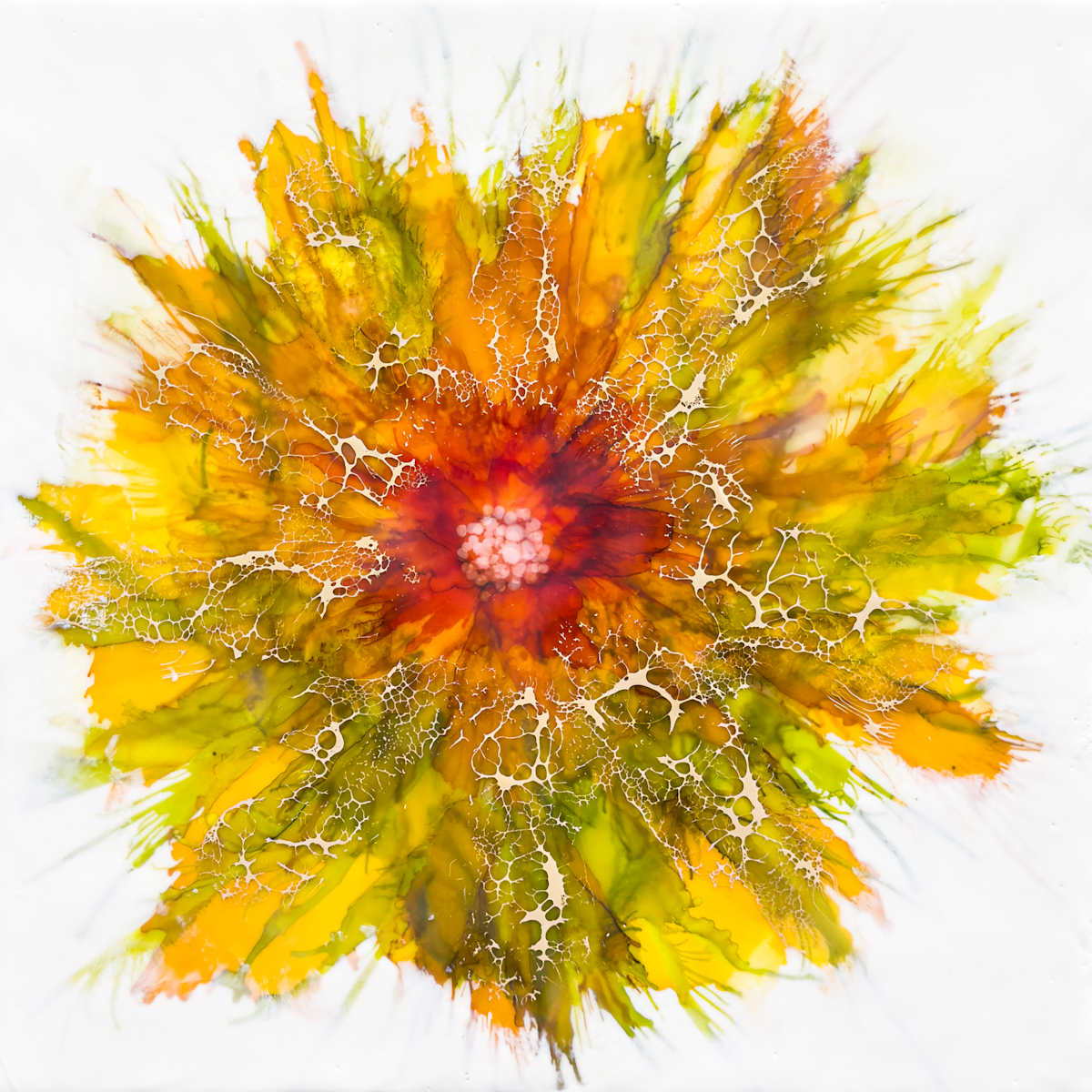The Sunshine Kid by Deborah Llewellyn  Image: Main Image