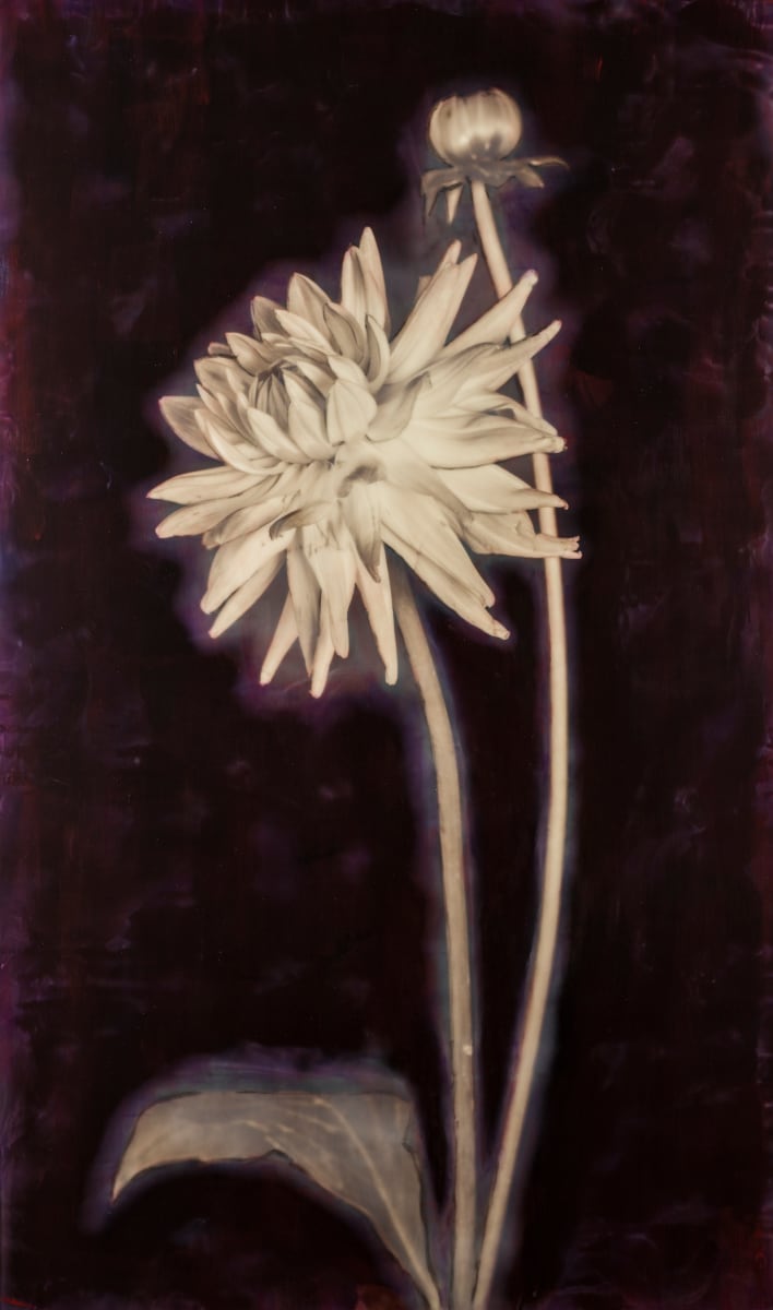Inner Self (copy) by Deborah Llewellyn, Image 1.
