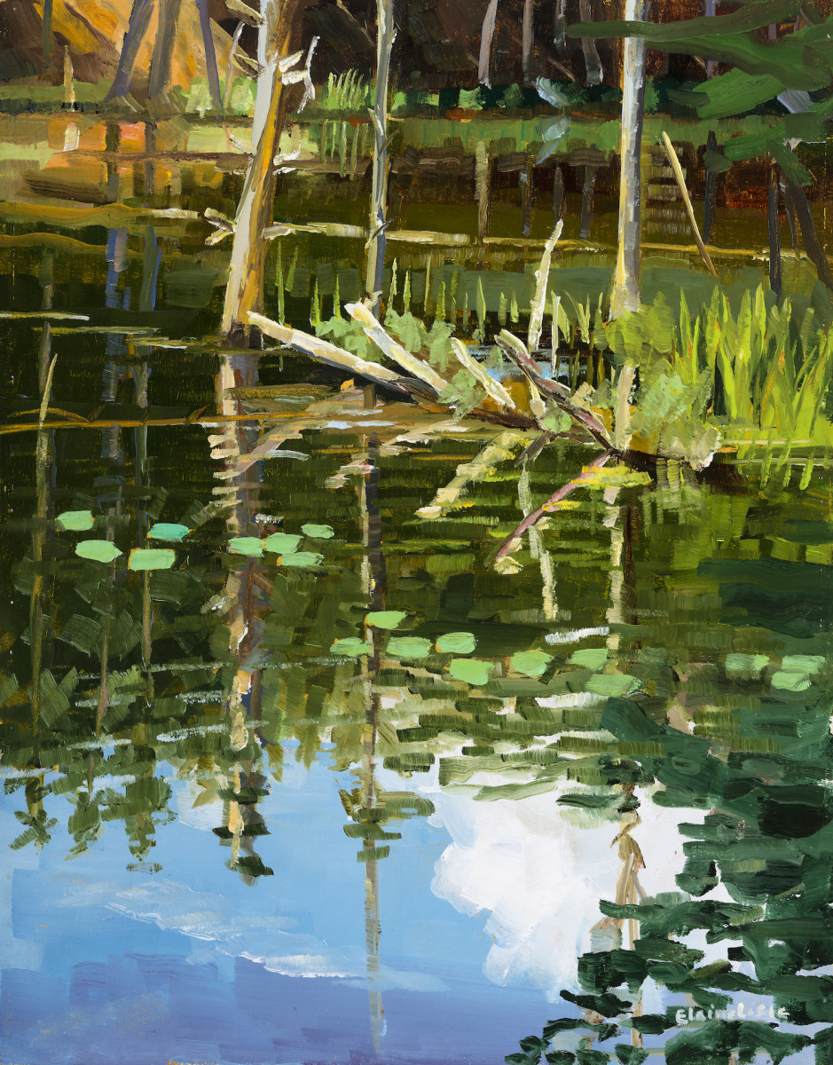 Tree Reflections Black Pond by Elaine Lisle 