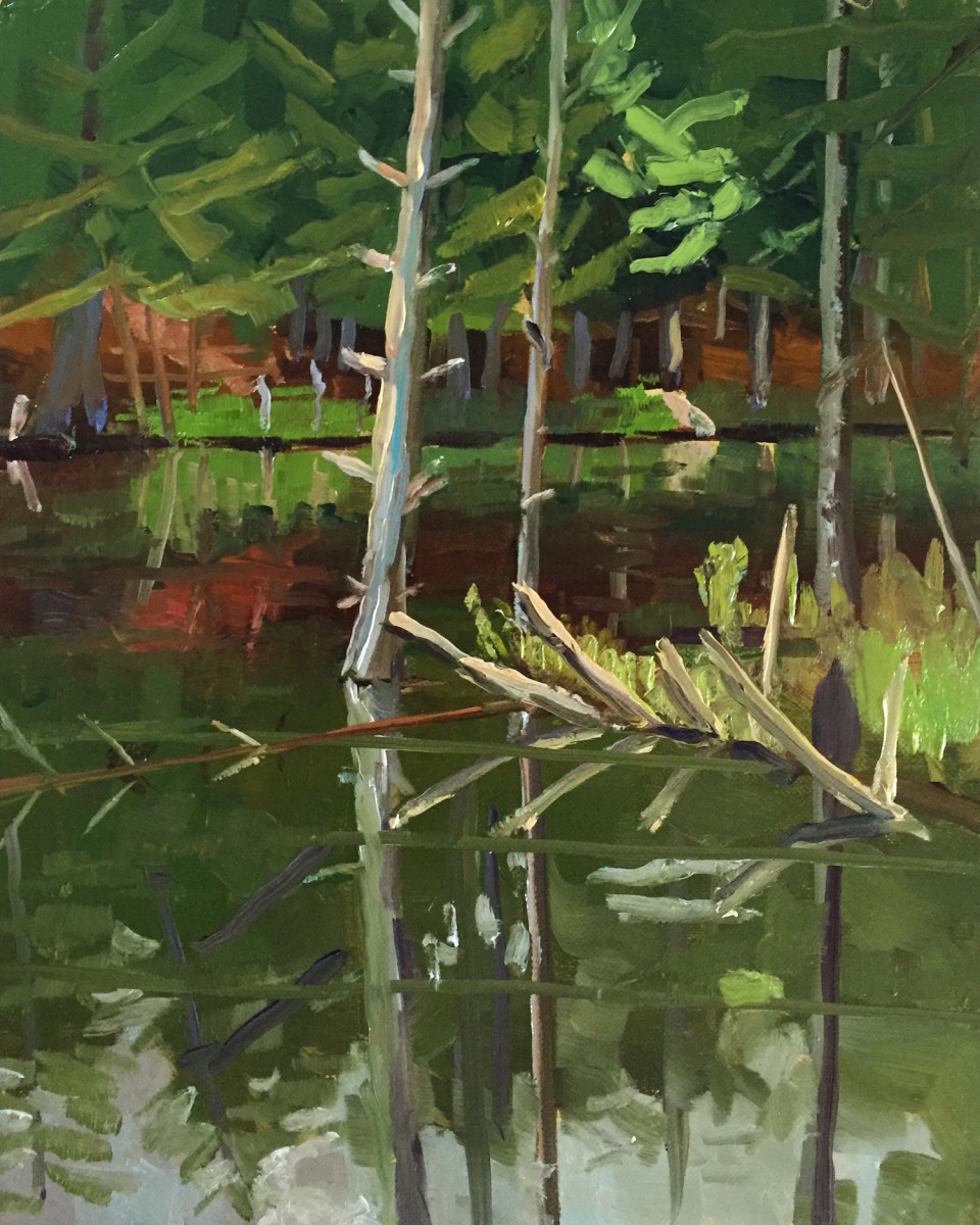 Black Pond Reflections by Elaine Lisle 
