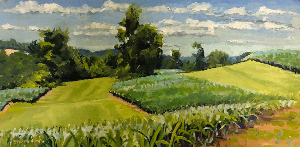 Cornfields Honker Hill Farm by Elaine Lisle 