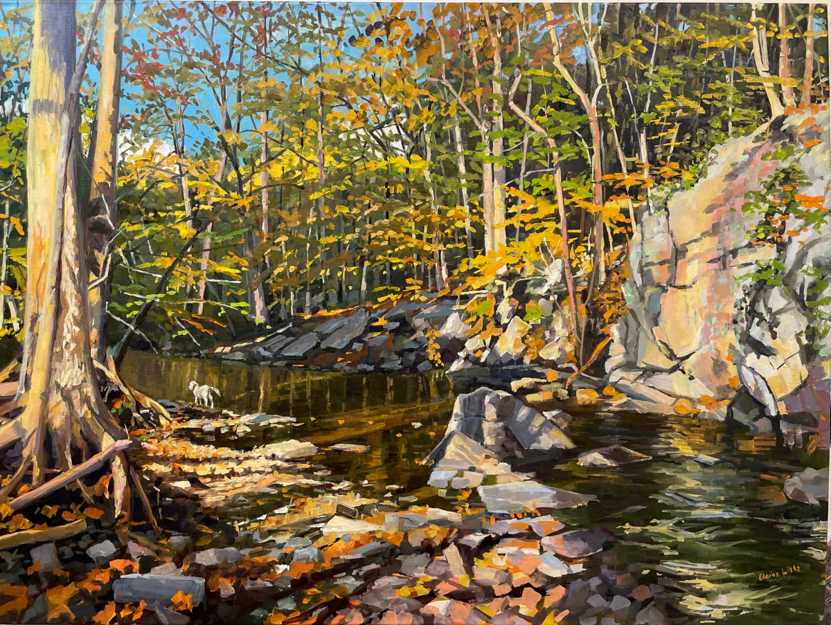 Dog Walk on Mill Creek by Elaine Lisle 