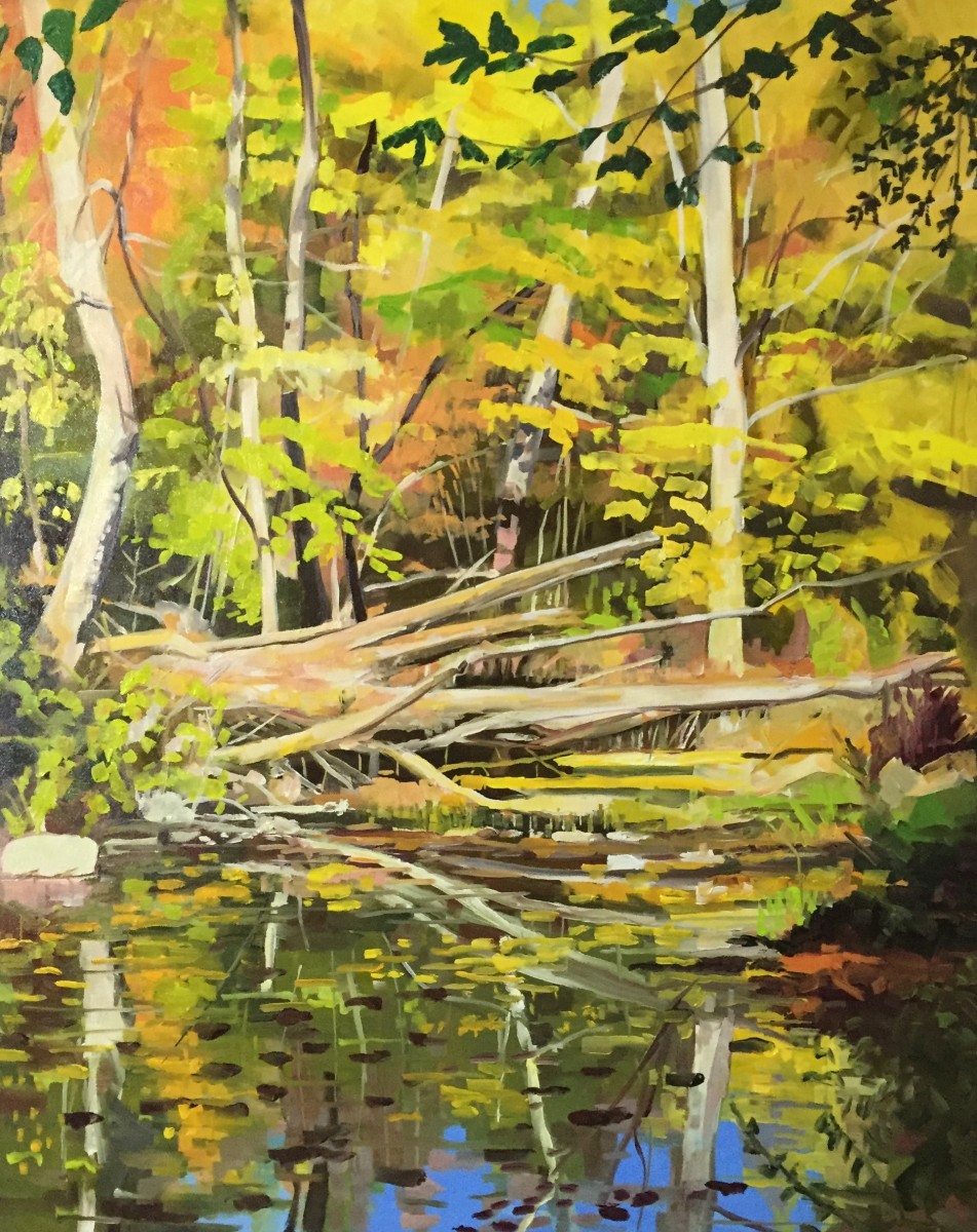 Fallen Tree Reflections by Elaine Lisle 