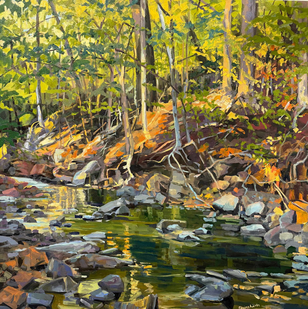 Mill Creek Roots & Rocks by Elaine Lisle, Image 1.