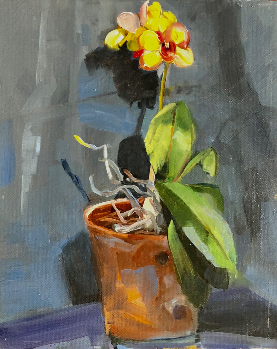 yellow orchid by Elaine Lisle 