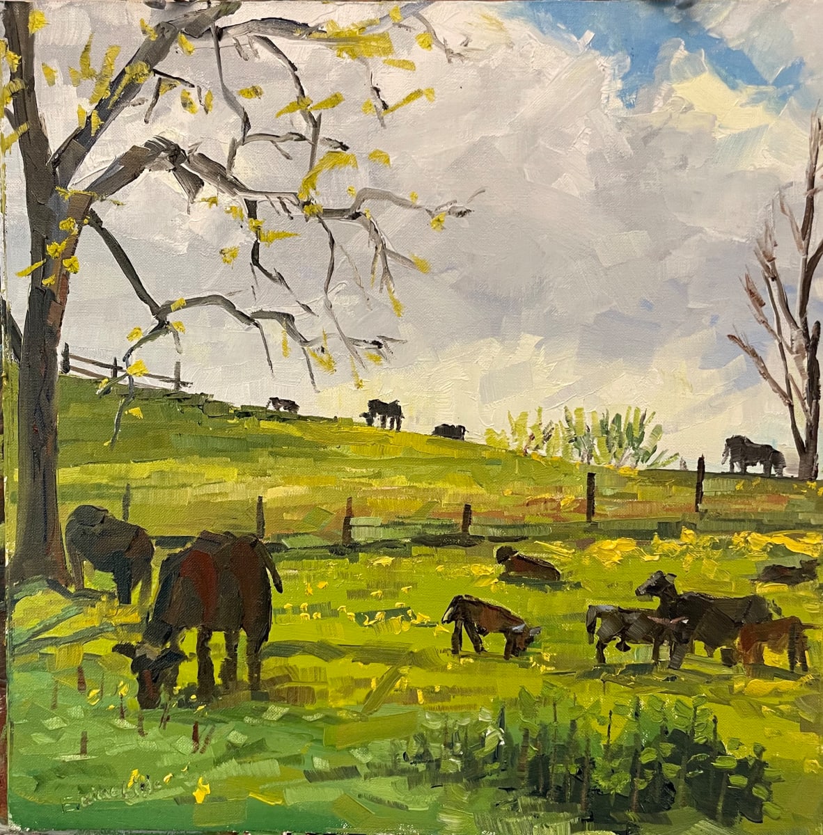 Cows & Heifers morning chow by Elaine Lisle 