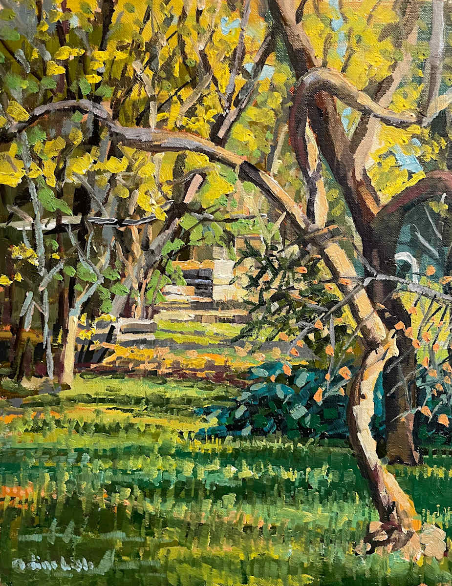 Bower at the Barnes by Elaine Lisle, Image 1.
