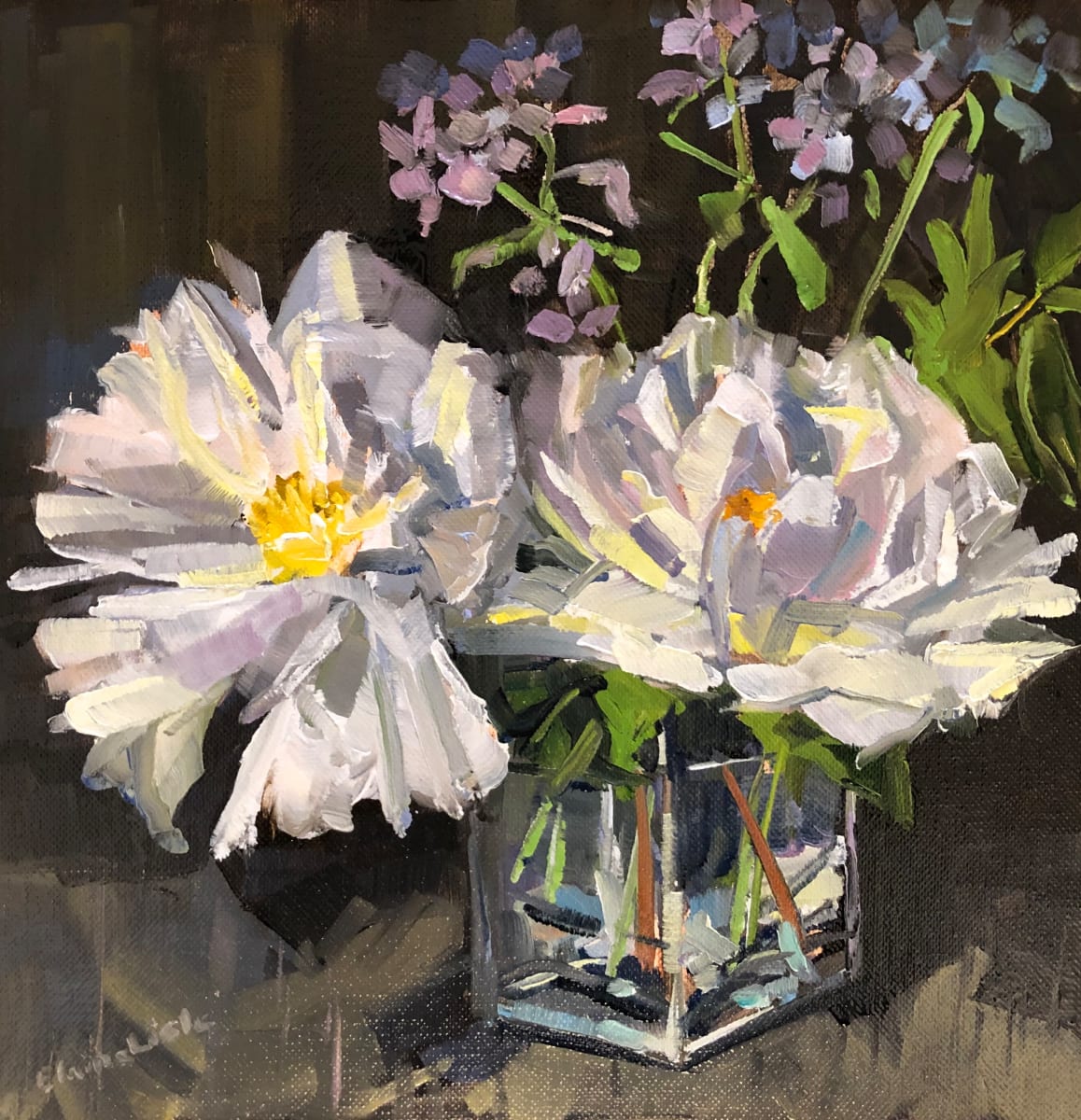 White Peonies with phlox 